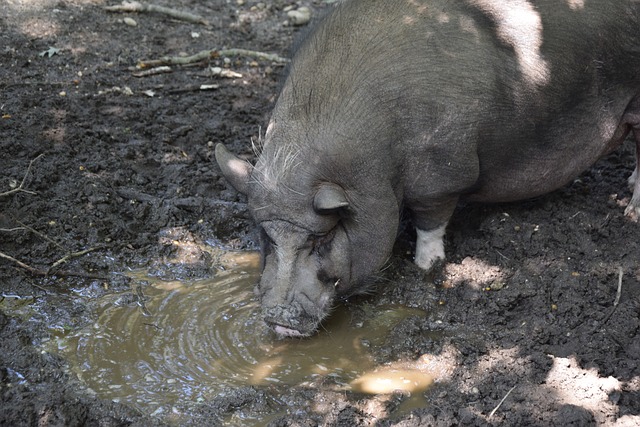 避免不必要 避免不必要