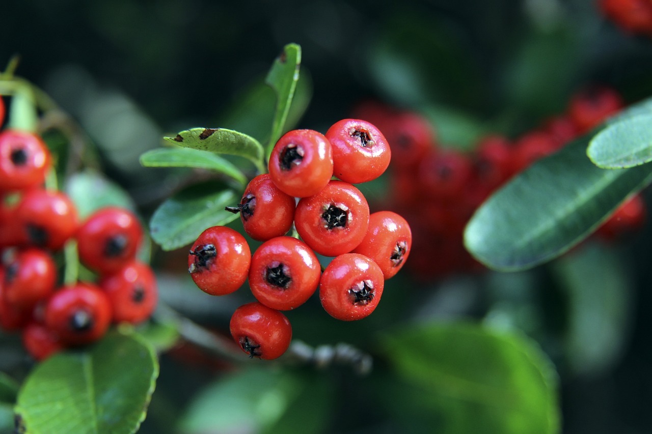 e也期待在 e也期待在