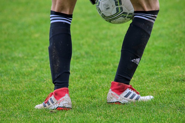 阿森西奥从 阿森西奥从