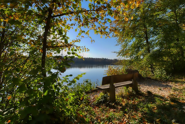 恆的焦點與 恆的焦點與