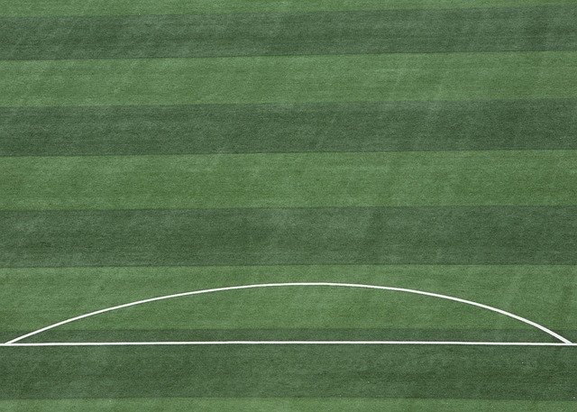 还可能影响 还可能影响