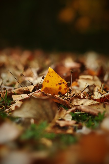 层面的巨大 层面的巨大
