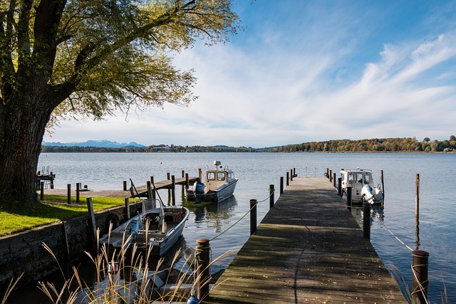 该事故的主 该事故的主